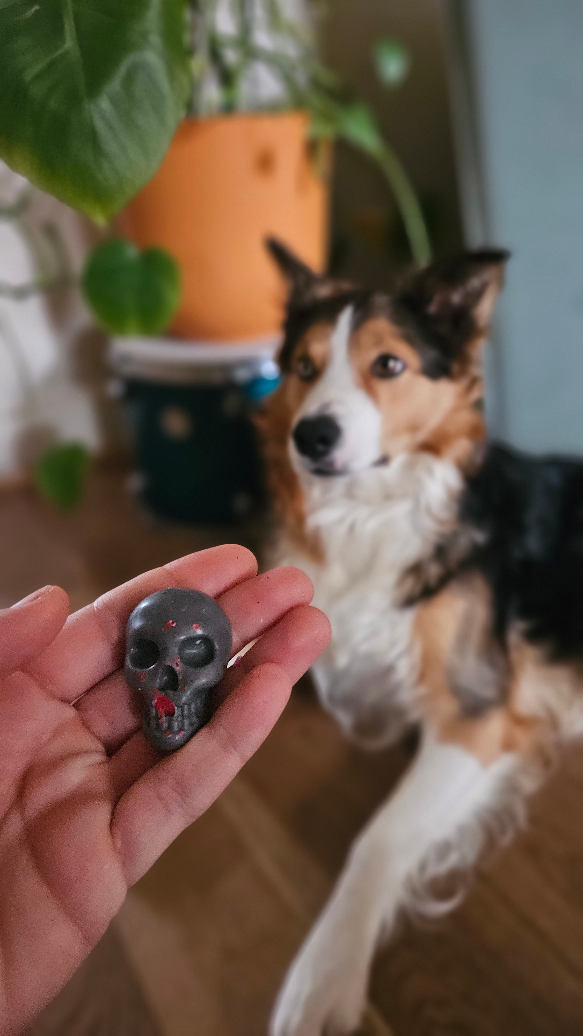Skulls and Souls Melts